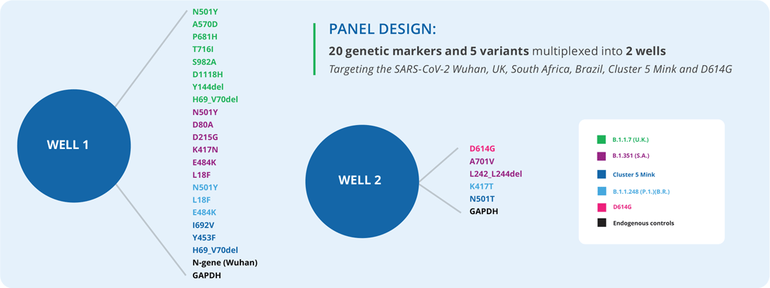 SARS-CoV-2 Variant Panel Design