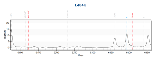 Variant B.1.2 (E484K)